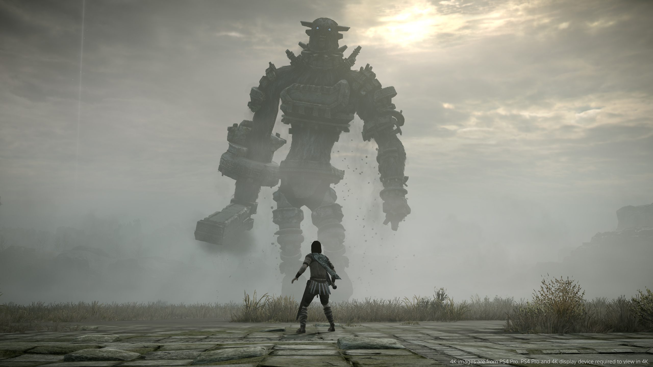 Если вы еще не играли в Shadow Of The Colossus, вам следует